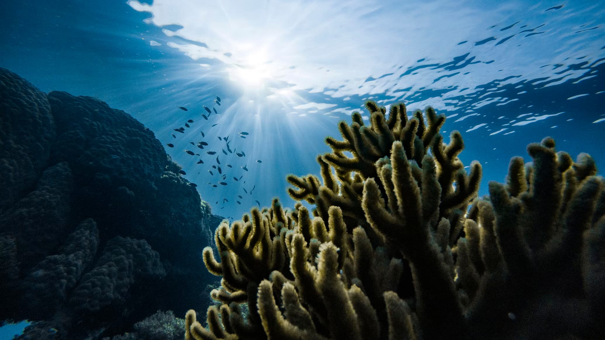 Underwater Kingdom